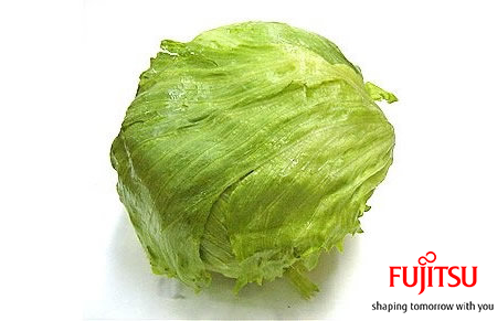 fujitsu_lettuce