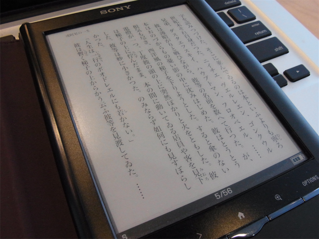 reader_002-1024x767.png