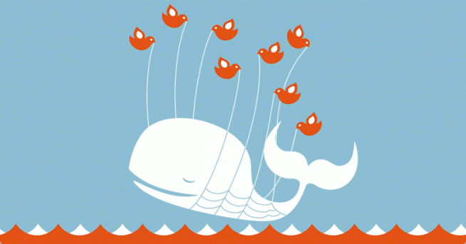 whale_twitter