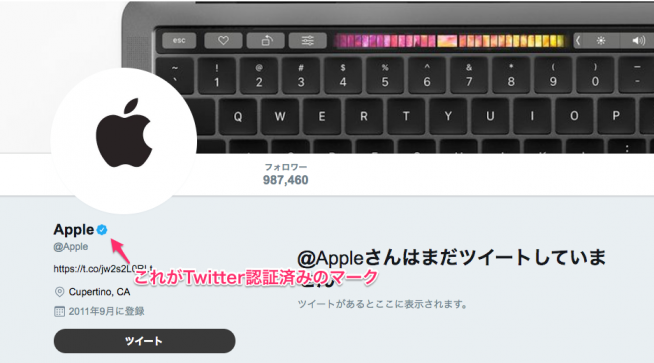 apple_spam_account2