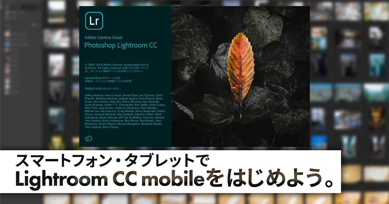 スマホの写真をワンランク上にする最強ツール Lightroom Cc Mobileの機能 操作の解説まとめ すまほん