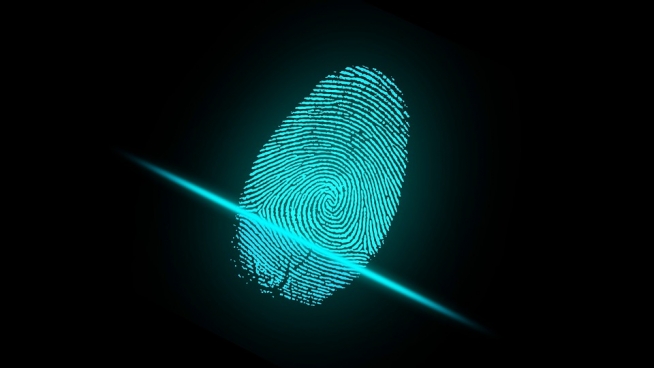 Security Digital Identity Finger Fingerprint